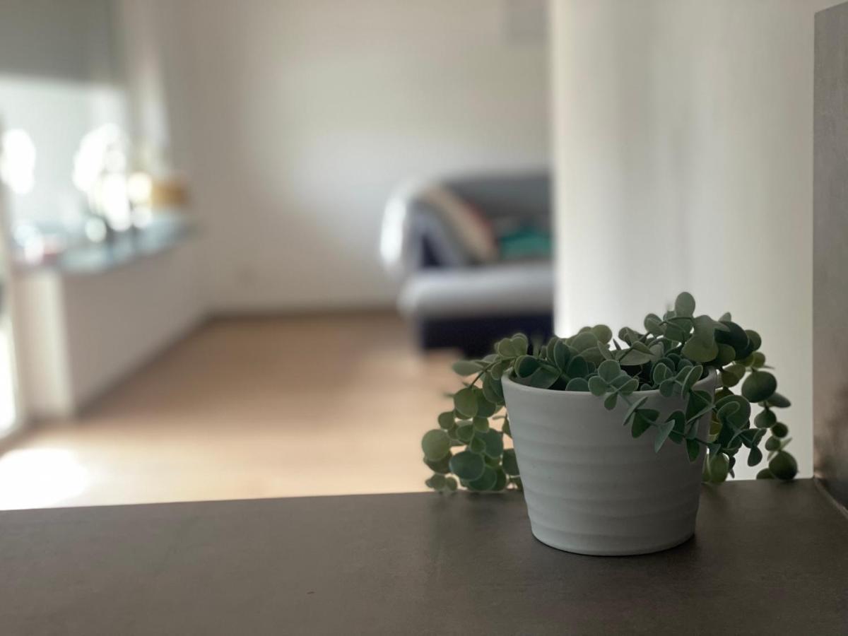 Mit Parkblick * Gratkorn